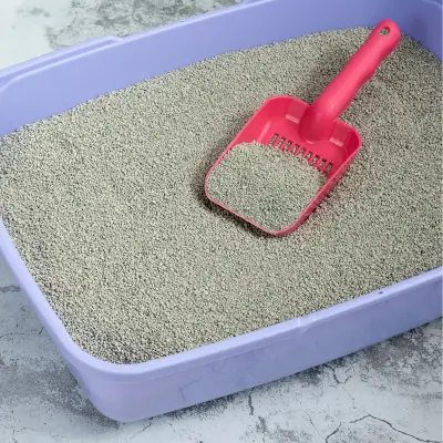 חול לחתולים עם פחם - ניקיון וריח נעים בבית